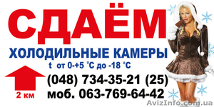 хранение  продукции в морозильных камерах #894361