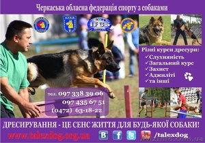 ДРЕССИРОВКА СОБАК В ЧЕРКАССАХ! #894375