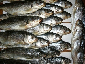 Продается Кутум Астраханский вяленый. #896448