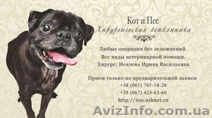 Ветеринарная клиника Днепропетровск. Вакцинация стерилизация кастрация хирургия  #898024