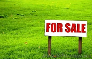 Земельный участок в Миргороде #901890