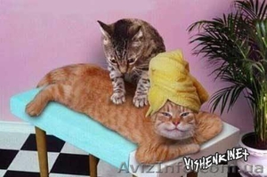 Массаж оздоровительный во Львове,  детский массаж Львов,  Антицеллюлитный массаж #915347