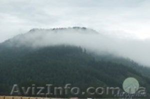 База отдыха Лазурит,  Горный Алтай,  турбаза,  сплавы,  походы,  Чемальский тракт. #921900