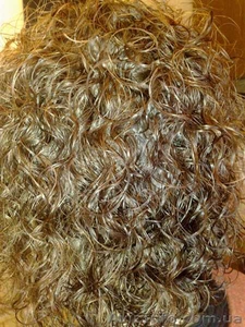 Биозавивка волос,  биозавивка Мосса,  биозавивка цена Киев #914313