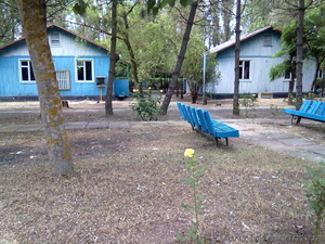 Отдых на Азовском море – Арабатская стрелка #914043