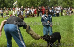 Дрессировка собак Макеевка,  Донецк и область #911625