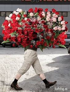 Массаж подарочный. #921461