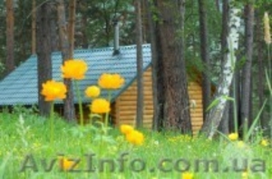 Русская баня на берегу Катуни,  Горный Алтай,  турбаза Лазурит. #921903