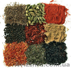Специи,  пряности #909702