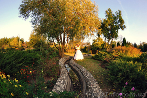 Свадебная фотосъемка,  индивидуальные фотосессии #917708