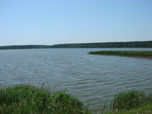 Рыбалка в Толокуне #908597