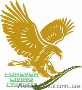 , Партнёр дистрибъютор компании Forever Living Products. #911790