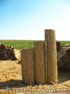 Камышовые маты,  камышовые плиты,  евроснопа,  утеплительные плиты . #918114