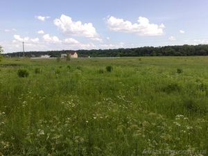 Продам участок в Андреевке #911097