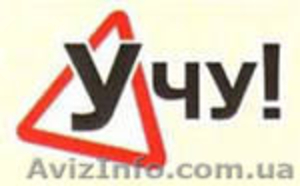 Курсы водителей 