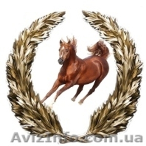 Видео Студия в Запорожье-VideoCam Studio #335033