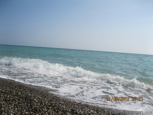 Светлана Отдых у моря  #920302