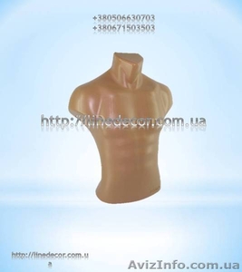 Манекен торс чоловічий #919664