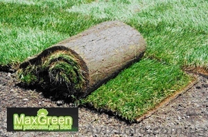 МаксГрин рулонные газоны Украины #916504