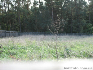 Продам участок в с.Перевоз 35 км от Киева #911395