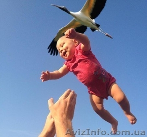 Раннее развитие детей,  развивающие занятия в детском центре #913869