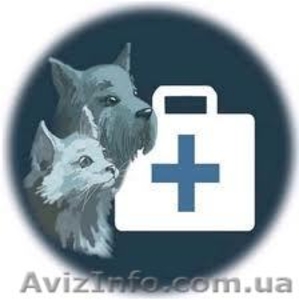 Ветеринарная клиника. Круглосуточно! Пос. Жуковского #916829