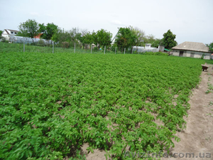 Срочно продам приватизированный участок земли под Киевом,  купить землю в Киевско #933872