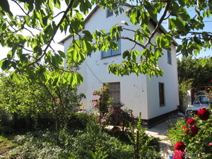 Отпуск на берегу море #932393