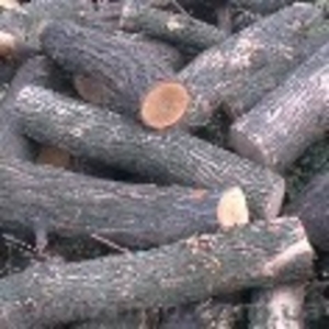 Продается лес,  кругляк #934402