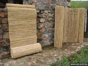 Камыш,  камышовая рогожка #929891