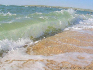 Отдых на море недорого от хозяина 2013г. пгт Кирилловка райский уголок  #928733