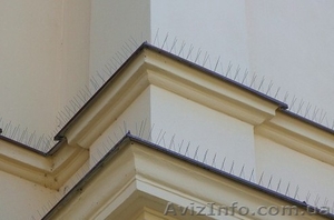 Шипы от птиц_противоприсадные иглы_средство от голубей #926997