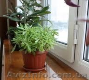 Подоконники ПВХ Danke (Данке) #936477