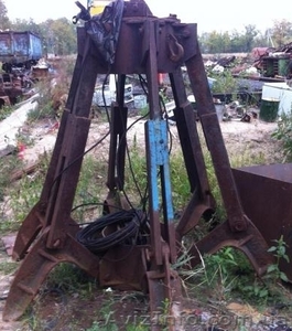 Куплю грейфер многочелюстной,  многолепестковый,  полип #928861