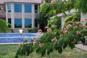 Реабилитация при наркомании,  алкоголизме,  игровой зависимости #922747