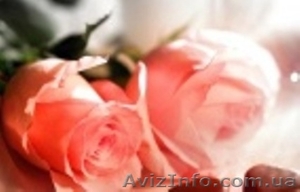 Двухкомнатная квартира на Черемушках #924948