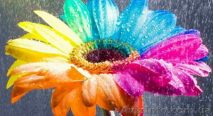 Курсы компьютерной графики. Обучение в Херсоне с трудоустройством. #927780