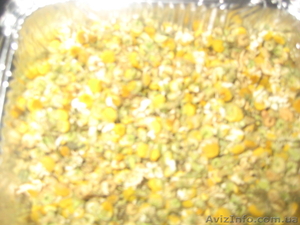 ромашка аптечная #925630