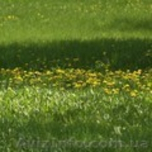 Продам участок по фасаду киевской трассы #928004