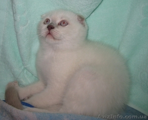 2 колорных мальика #922224