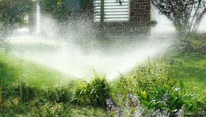 автоматические системы полива,  системы капельного орошения #924501