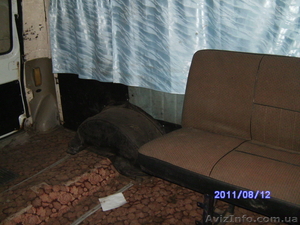  РАФ 1991 (новые : - аккумулятор,  колеса) #935936