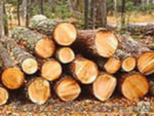 Продам пиломатериалы и палетную заготовку #934196