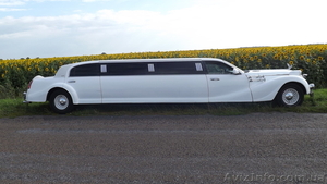 Лимузин - лучший автомобиль  #936362