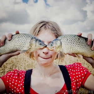 Куплю живую товарную рыбу. #936979