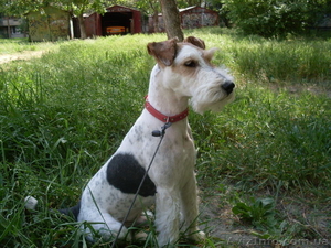 жестик - маленькая прелесть #924445