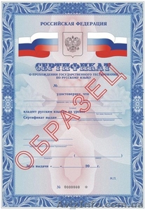 Экзамен по русскому языку на работу,  гражданство РФ в Киеве #668238