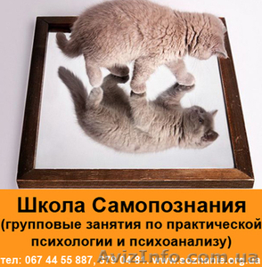 Групповые занятия по практической психологии и психоанализу #936371