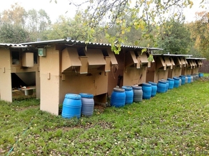 Бизнес на дому!Может заниматься каждый! #940778