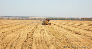 Юридические консультации в агросфере в Днепропетровске #950636